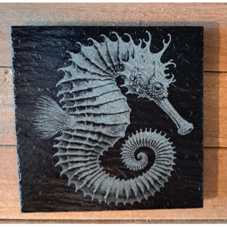 10x10cm Slate Coaster, beautifully laser engraved with a seahorse