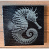 10x10cm Slate Coaster, beautifully laser engraved with a seahorse